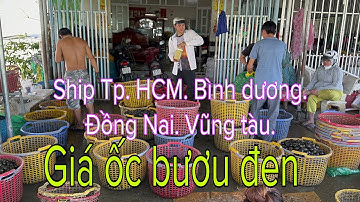 Giá ốc bươu đen và ốc lác ngày 21/9