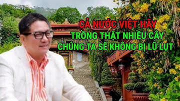 Cả Nước Việt Hãy Trồng Thật Nhiều Cây Chúng Ta Sẽ Không Bị Lũ Lụt - Ngô Tuấn Kiệt 