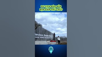 Nơi thồng trị của loài rắn