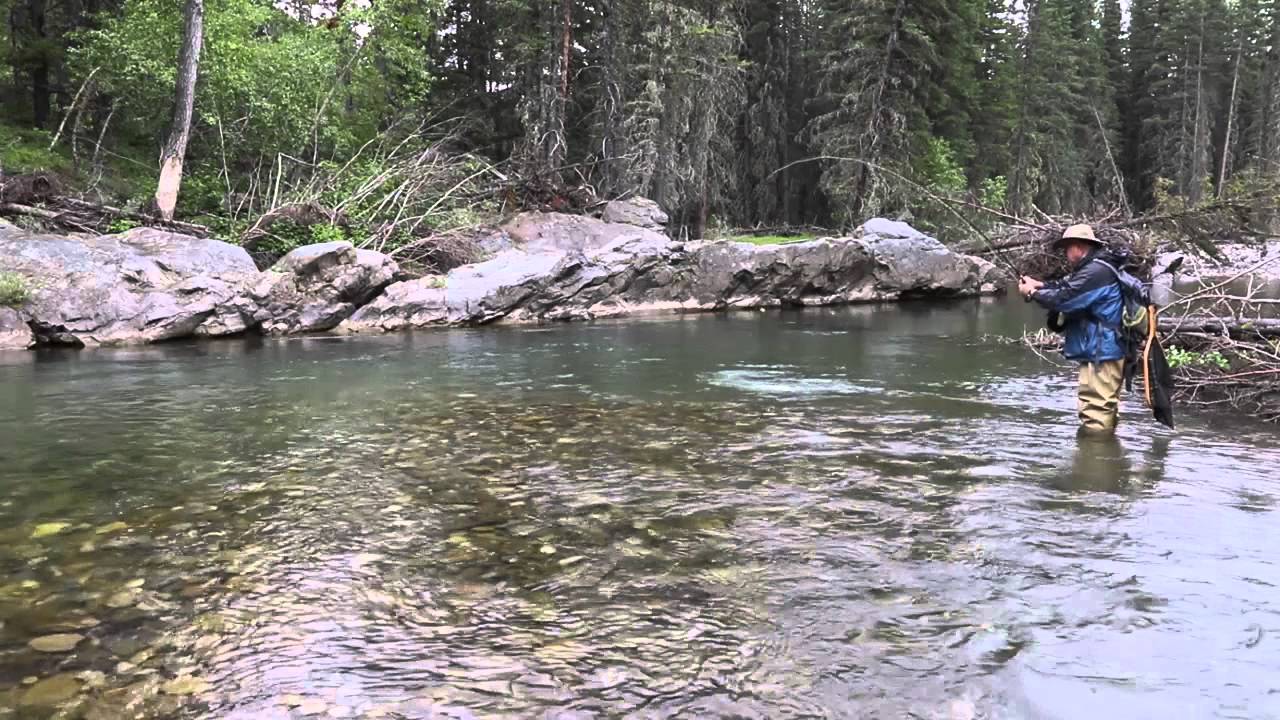 Easy as Fishing - YouTube
