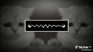 Dj Kane Terbang Bersamaku Slowed & Reverb By Dj Nial