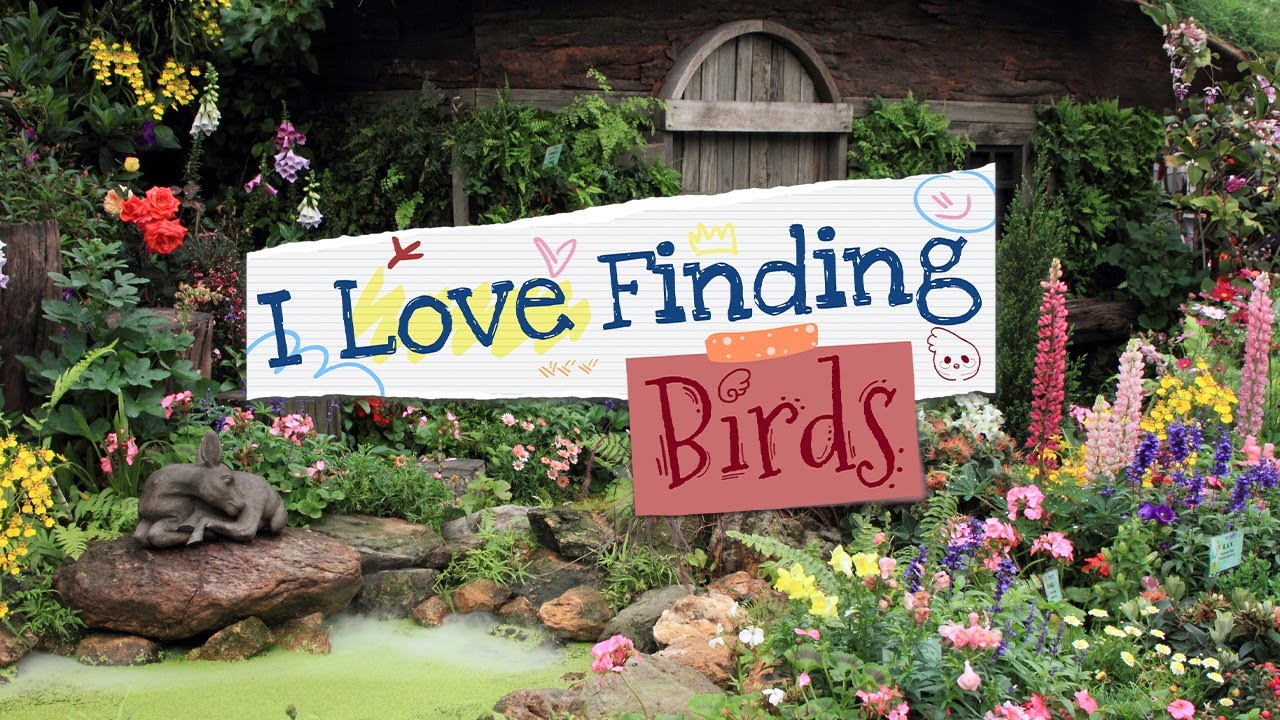 I Love Finding Birds Collector's Edition > iPad, iPhone, Android, Mac & PC  Game | Big Fish
