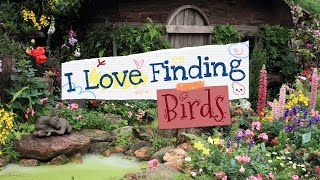 I Love Finding Birds Game Trailer screenshot 5