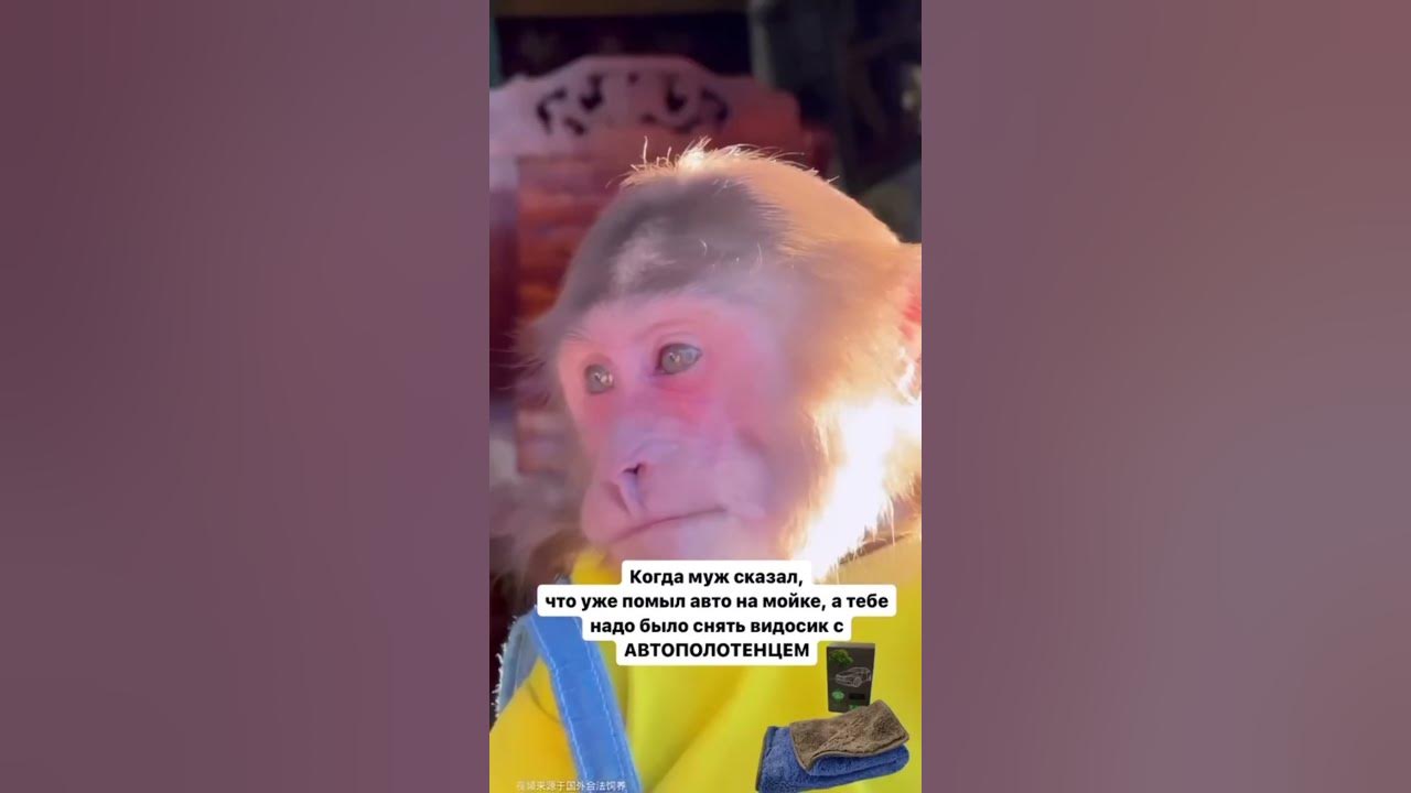 Было у вас такое?😂😂😂 #автополотенце #гринвей - YouTube