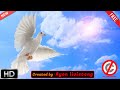 270, Free Christian Loop Background Video HD No Copyright / Holy spirit ...
