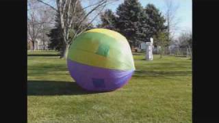 Barbs Beach Ball