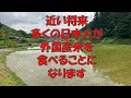日本の米の未来　＃米の高騰　＃外国産米　＃米農家