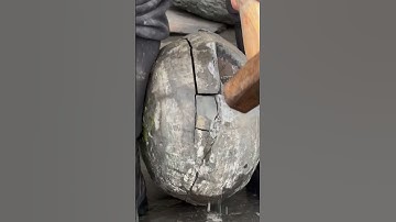 Find fossils in large rocks #fossil  #rock  #viral  #gem  #geology  #crystal  #shorts