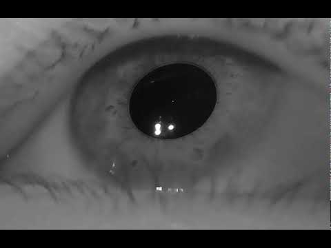 Pupil detection (gaze tracking) demo