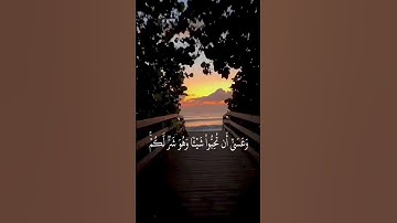 (وعسى أن تكرهوا شيئا وهو خير لكم) فارس عباد حالات واتس  - Fares Abbad | سورة البقرة