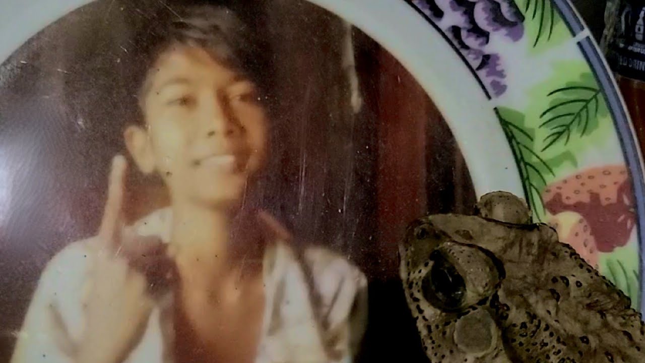 Sri Lanka,ශ්‍රී ලංකා,Ceylon,Asian Common Toad, Duttaphrynus Melanostictus,Meditating