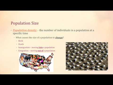 Video: Wat is een populatie en soort?