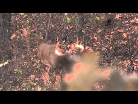 Hunt Tip