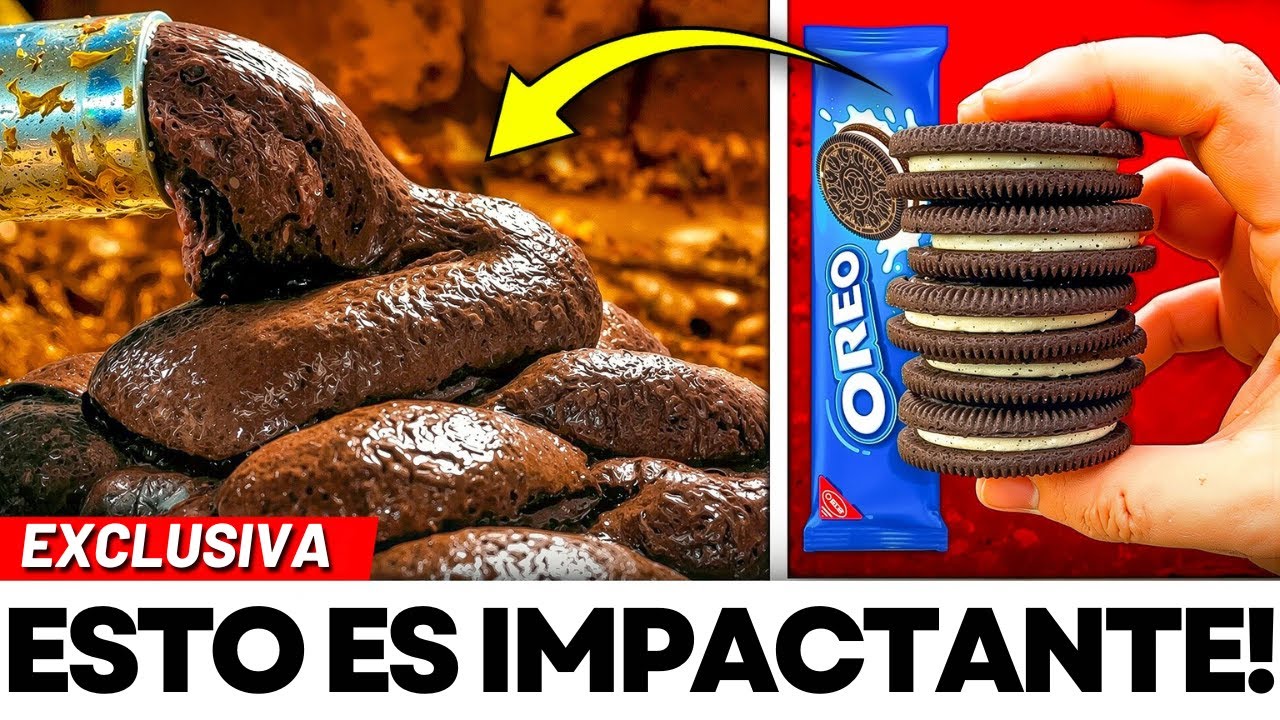 8 Marcas De Galletas Que Debes Evitar