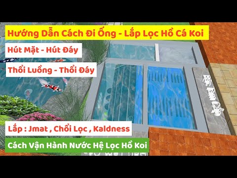 Video Hướng Dẫn Cách Đi Ống - Lắp Lọc Hệ Lọc Hồ Cá Koi Tiêu... - youtube