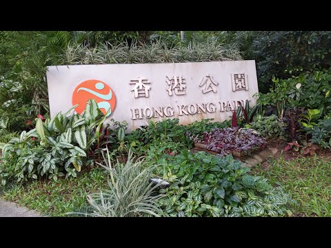 Hongkong park