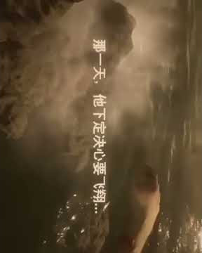 Story WA - Baby I don't understand this