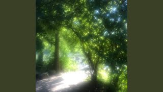 SHATTERED LIGHT (Slowed)