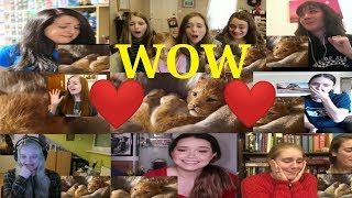 The Lion King Official Teaser Trailer Reaction Mashup By Girls Reaction 2019