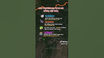 KHU THƯƠNG MẠI TỰ DO ĐÀ NẴNG. ....