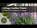 Cottage Garden Plants - 30 Plants with Romantic Charm