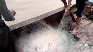 Sông nước quê tôi,.....