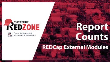 REDZone - Report Counts