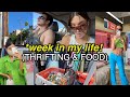 A Week in My Life (thrift with me, grocery haul + mental health update!)