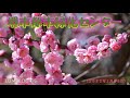 堺市都市緑化センター(2022年2月26日)LUMIX DC S5