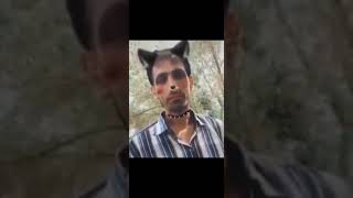 Miyav Ben Kediyim. Korktun Mu?