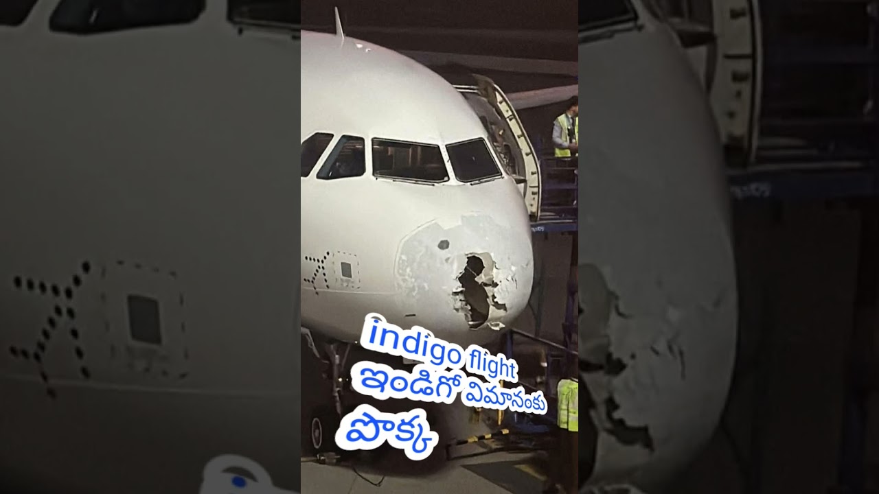 indigo flight ✈️✈️✈️..
