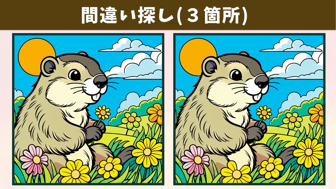 Найдите 3 отличия | Иллюстрация Версия #1674