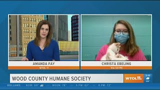 Find your best friend at Wood Co. Humane Society