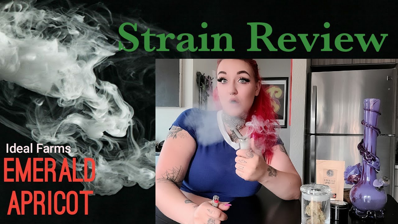 Emerald Apricot | Strain Review | Ideal Farms