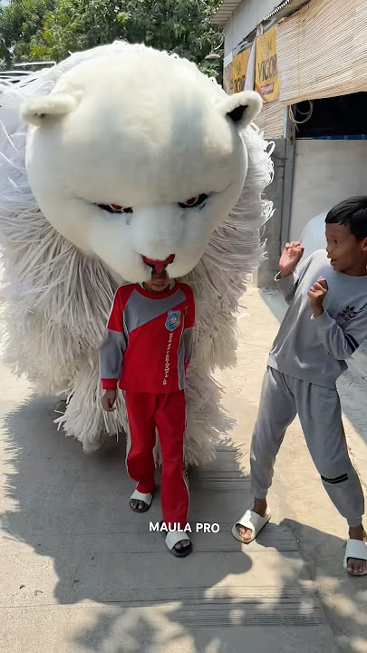 Bocil dimakan can macanan sampe habis