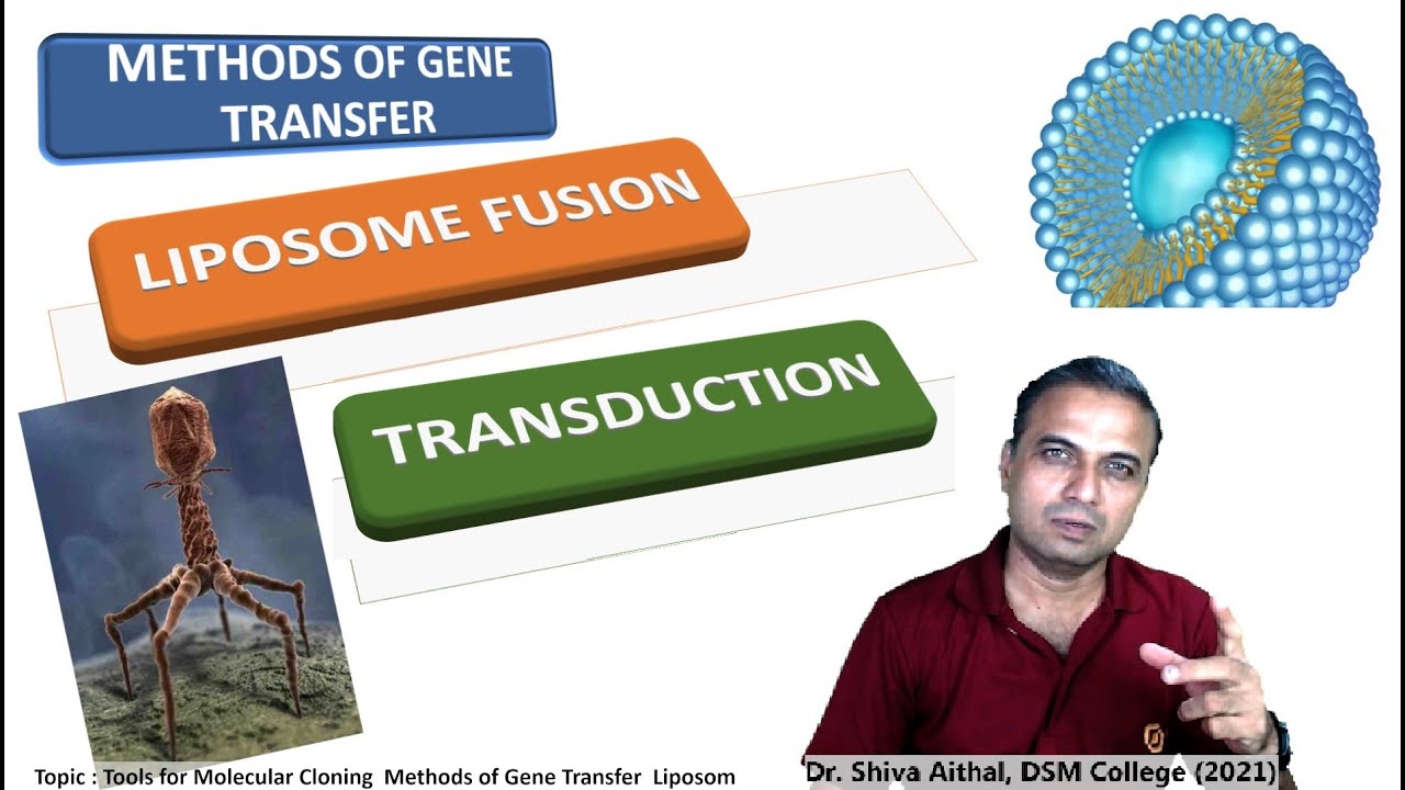 Lecture 08 Tools for Molecular Cloning  Methods of Gene Transfer  Liposomes Transduction