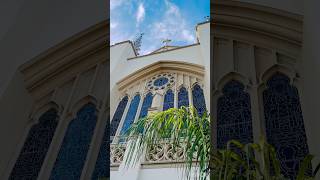 Blessed Palm Sunday 2026 🙏 #palmsunday #church #catholic #lent #shorts #music #losangeles