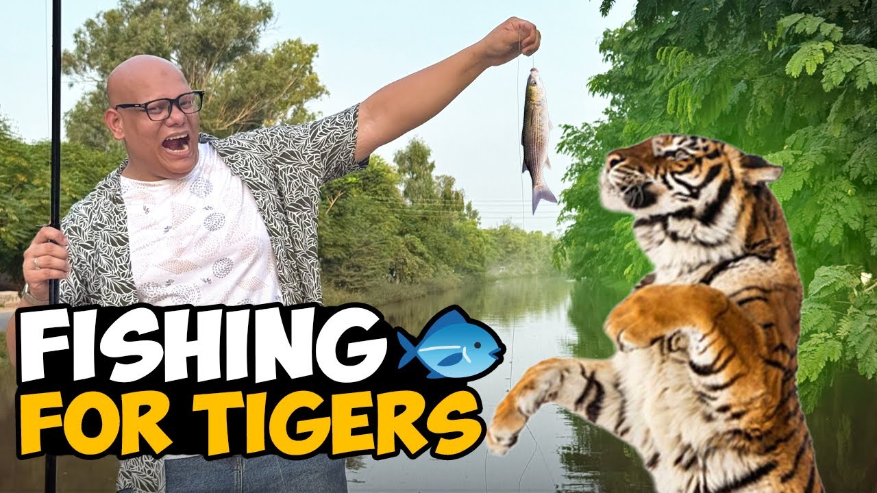 Fishing for Lions🎣🦁 | Do Lions & Tigers Like Fish?🐯🐟 | BT Farm Stories