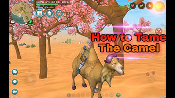 Utopia Origin How to Tame Camel |Camel feed Ingredients|