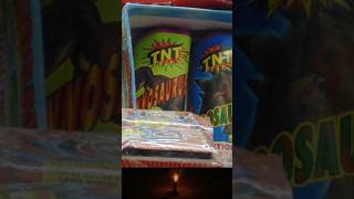 Tyrannosaurus by TNT Fireworks (Fountain)