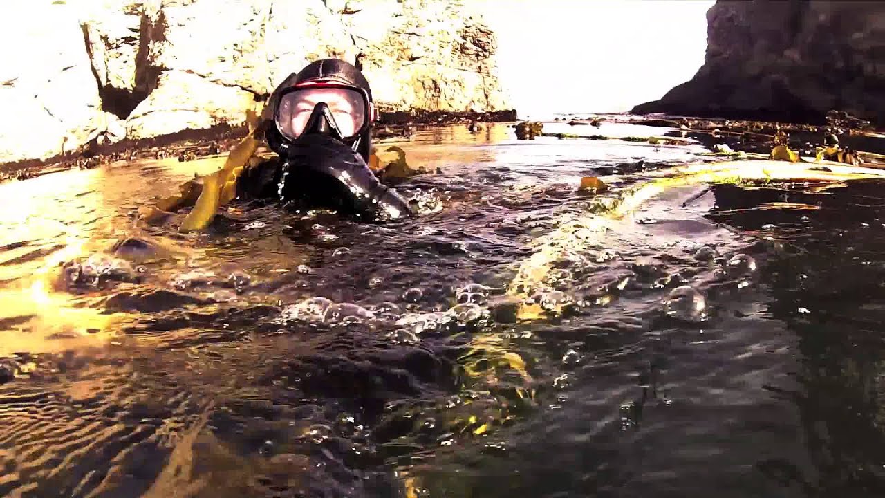 Elk Abalone Dive August 2013 redone YouTube