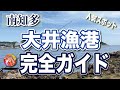 【大井】南知多人気スポット【大井漁港】駐車場、トイレあり。