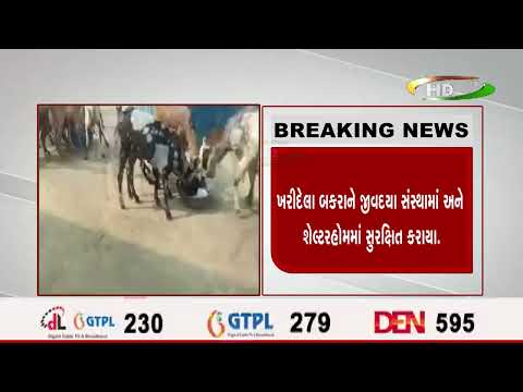 બાગપતમાં જૈન સમુદાયના સભ્યોની જીવદયા