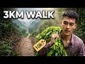 Sen Walks Over 3KM Through the Forest Just to Sell a Bundle of Vegetables | Highland Life