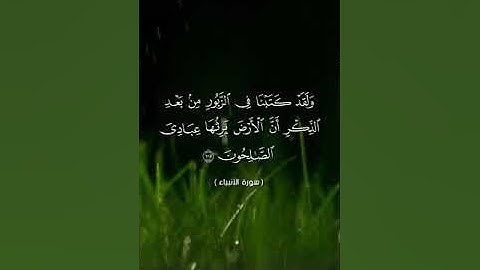 آيات بينات من سورة الأنبياء بصوت القارئ خالد الراضي #المغرب #الذكر_الحكيم