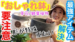 【草花/花木/観葉植物】「おしゃれ鉢」は要注意⚠️2大注意ポイント/ でも救世主（最強アイテム）を使えば全て解決？！/ 植物をオシャレに、楽に育てたい方必見です