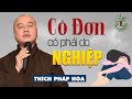 Cô Đơn có phải do Nghiệp kiếp trước - Vấn đáp Thầy Thích Pháp Hòa (rất hay)