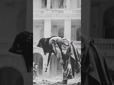 چاچی قدم له عرش بر ایخی دی 