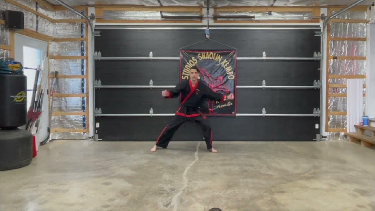 Shaolin Kempo Karate Pinion 1 avec explication YouTube