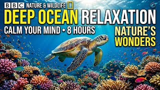 Tranquil Sea Drift π β’ Soothing Relaxation Music for Sleep π β’ Calm Nightwave Echo β¨